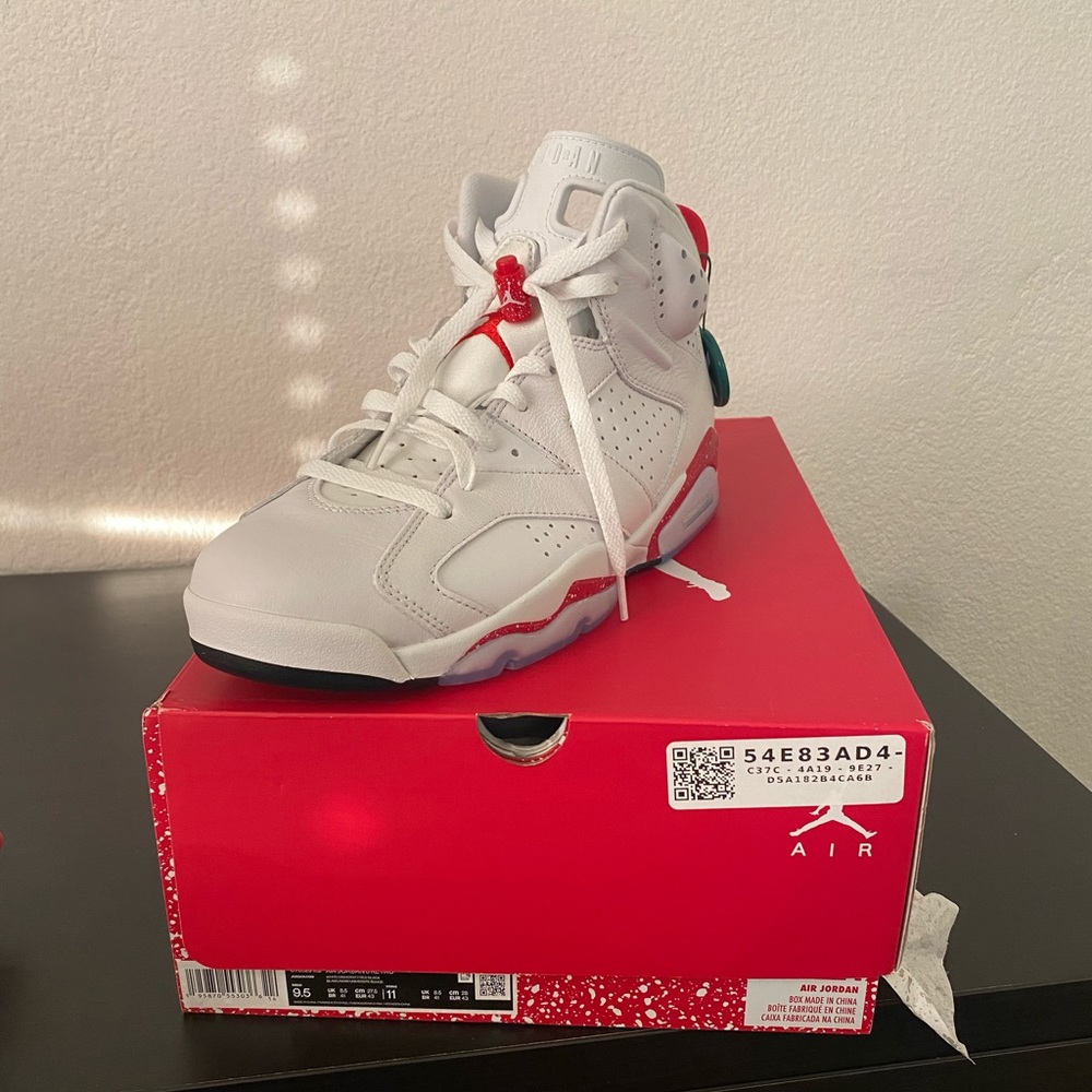 Jordan 6 size 9.5